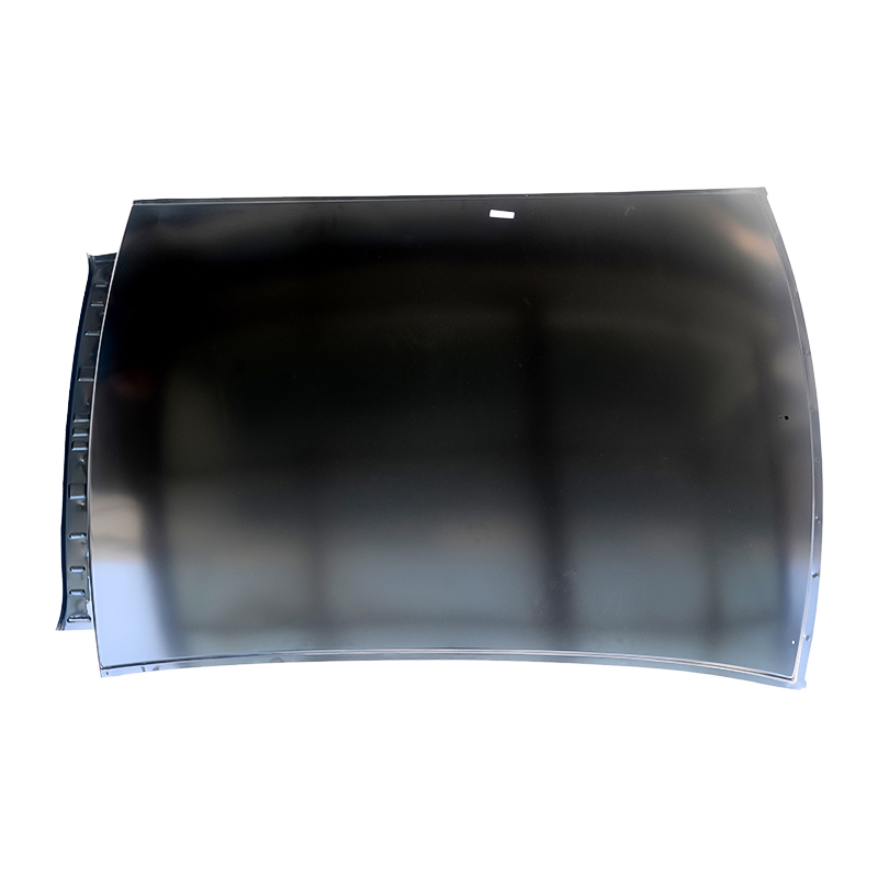 2009 Focus Roof Uten Skylight Hatchback