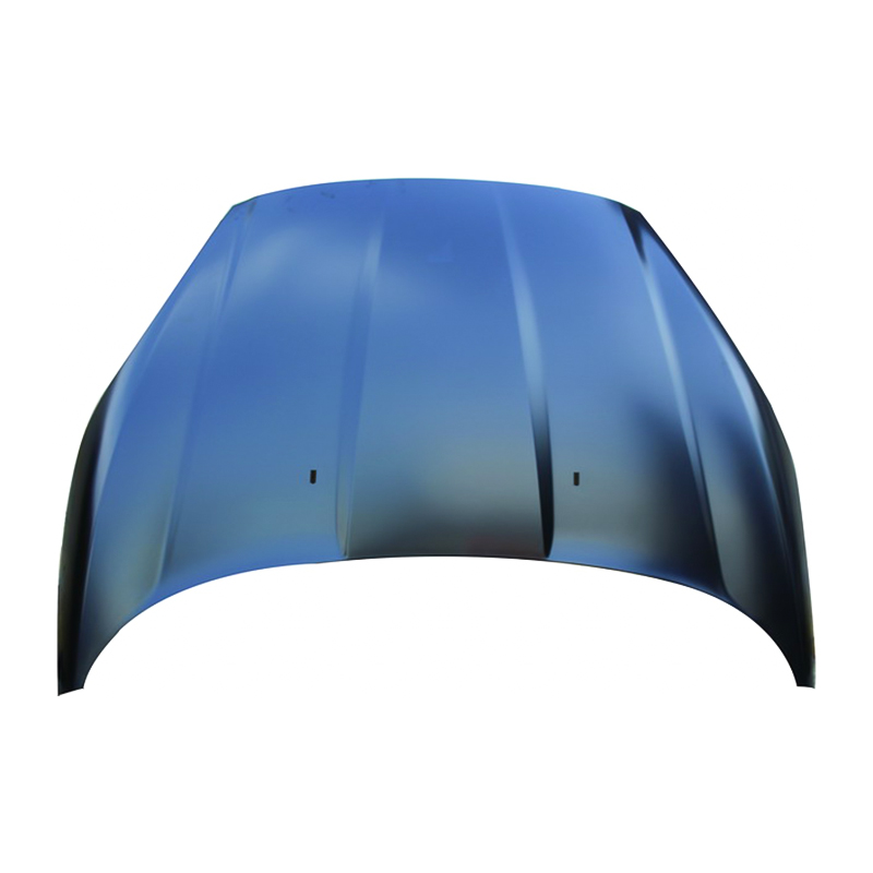 2013 Ford Fiesta motorpanser