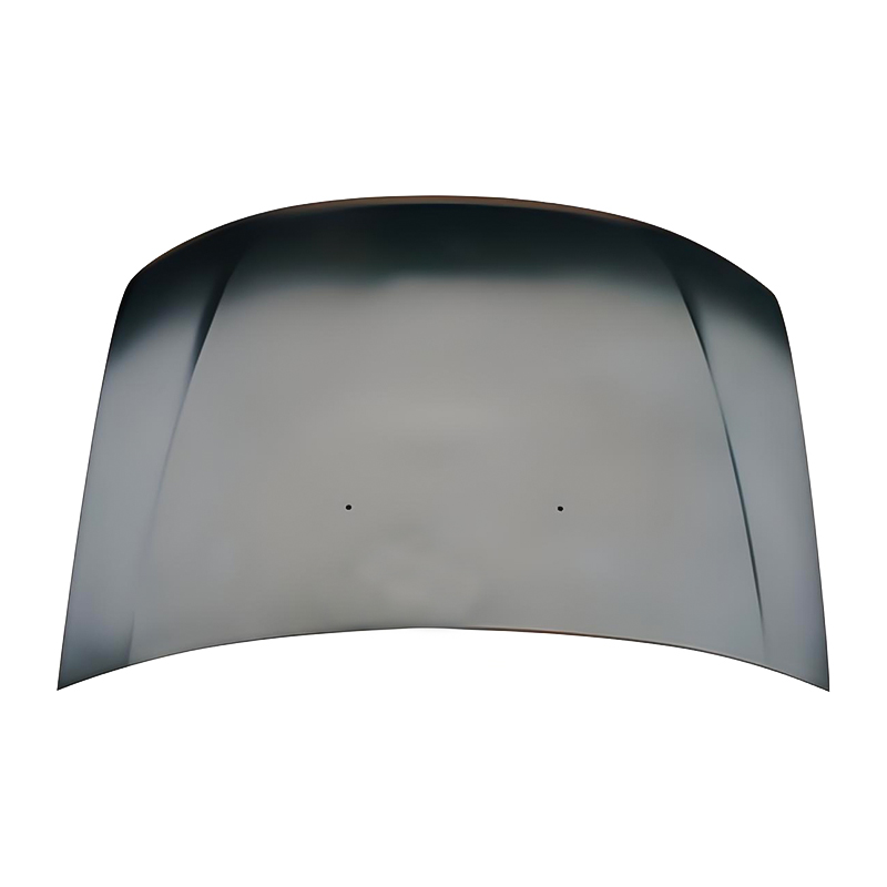RENAULT DUSTER 09 Panser