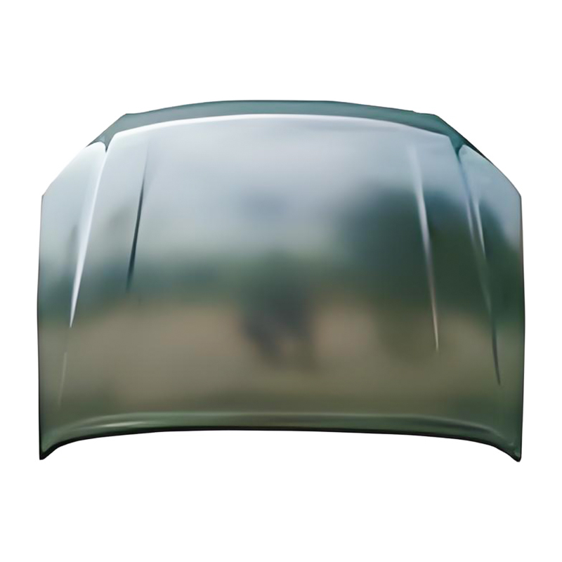 D-MAX 12 panser