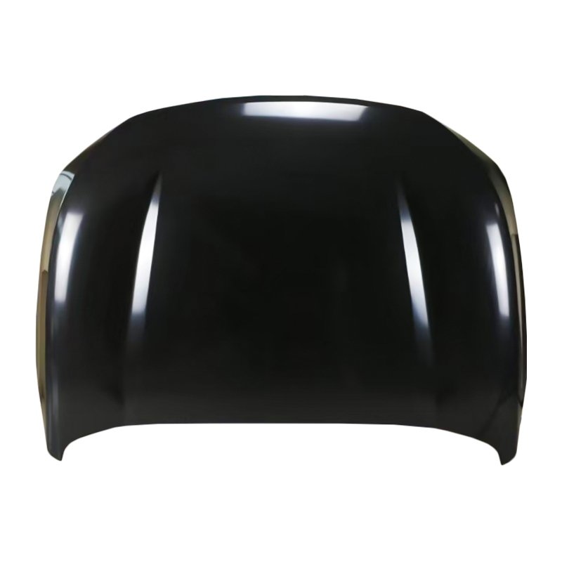 NP300 15 Panser