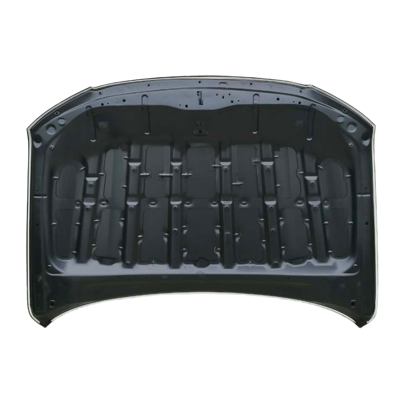TOYOTA LAND CRUISER 08 Panser