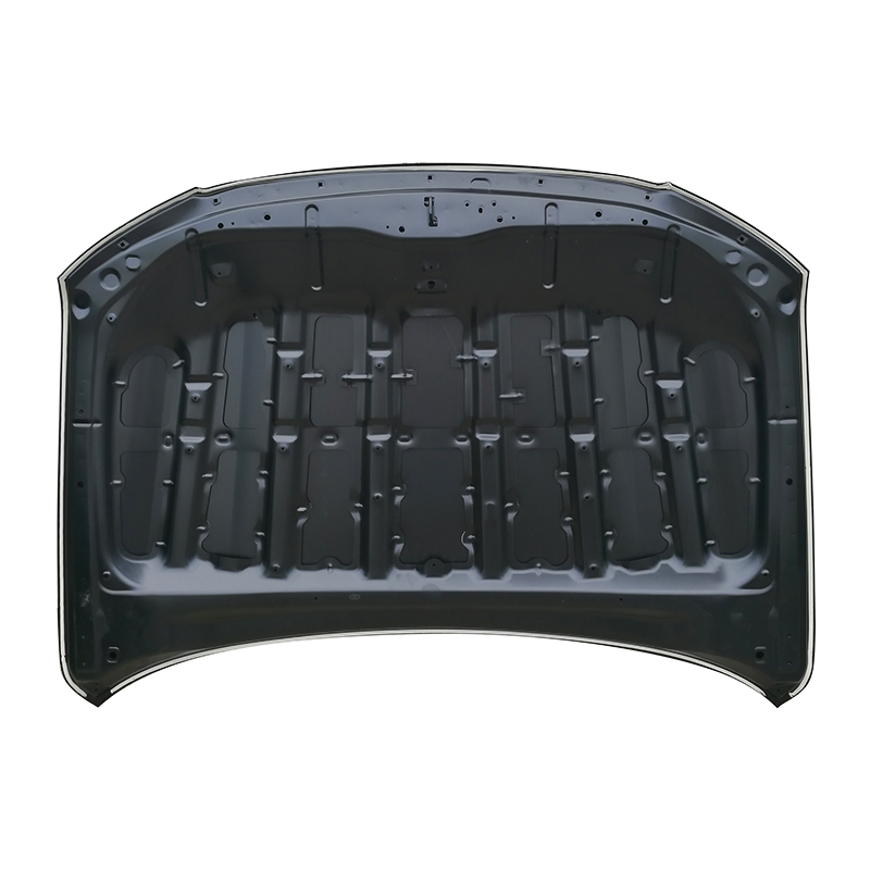 TOYOTA LAND CRUISER 08 Panser