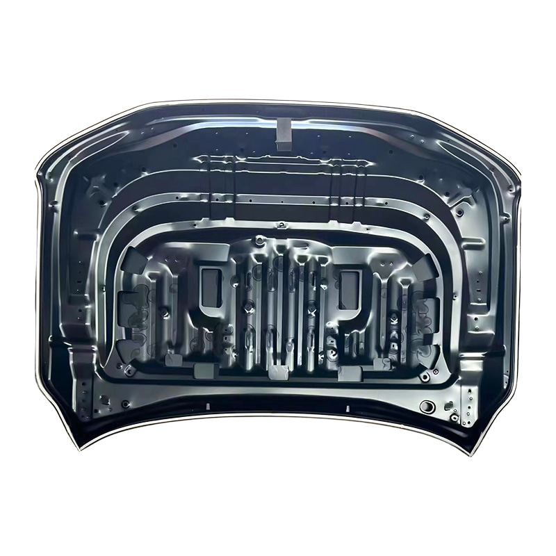 TOYOTA LAND CRUISER 21 panser